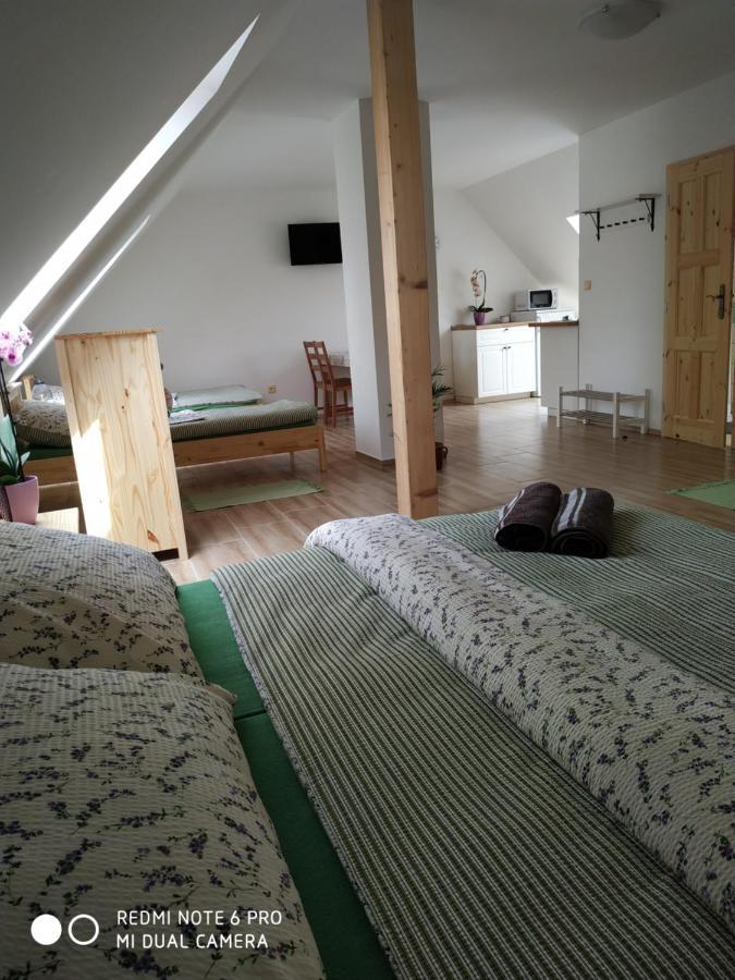 Ubytovani Ve Stodole Stráž nad Nežárkou Bagian luar foto