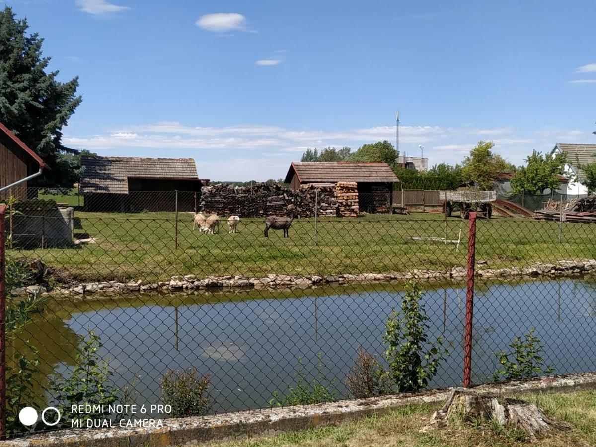 Ubytovani Ve Stodole Stráž nad Nežárkou Bagian luar foto